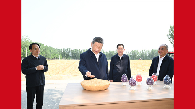 习近平在山东德州考察时强调 以扎实举措推进农业农村现代化 用勤劳和智慧创造更加美好生活