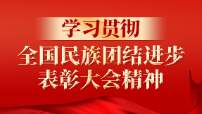 学习贯彻全国民族团结进步表彰大会精神