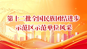 第十二批全国民族团结进步示范区示范单位